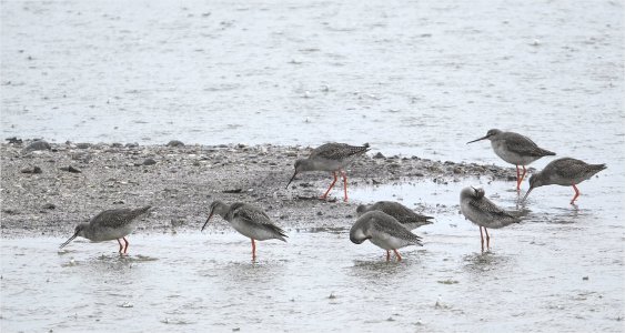 241007.01.JPG 241007.01.JPG