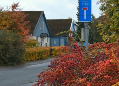 241009.01.JPG 241009.01.JPG