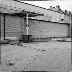 241011-Fs-1år.jpg 241011-Fs-1år.jpg