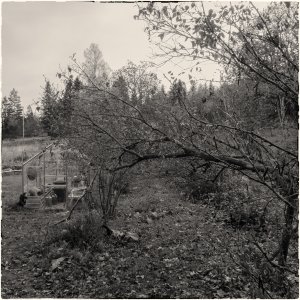 241016-Fs-1år.jpg 241016-Fs-1år.jpg