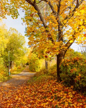 _N0A8804.jpg _N0A8804.jpg