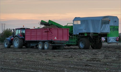 241017.01.JPG 241017.01.JPG