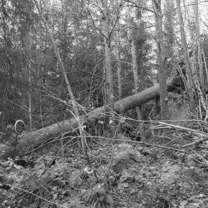 151018-FS10.jpg 151018-FS10.jpg