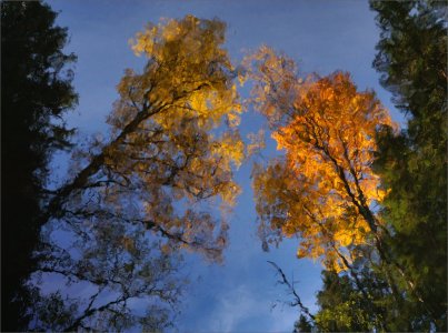 151018.01.JPG 151018.01.JPG