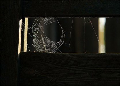 241018.01.JPG 241018.01.JPG