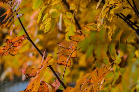 2015-10-19.jpg 2015-10-19.jpg