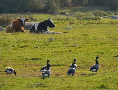 241019.01.JPG 241019.01.JPG