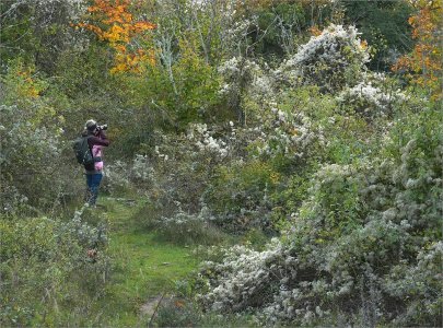 Fs BildBlirTill 251019.JPG