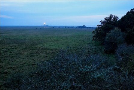 241020.05.JPG 241020.05.JPG