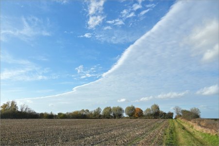 241021.01.JPG 241021.01.JPG