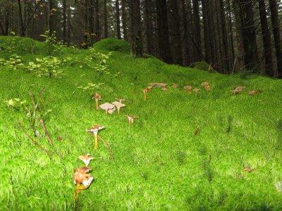 2015-10-22.jpg 2015-10-22.jpg