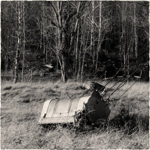 241024-Fs-1år.jpg 241024-Fs-1år.jpg