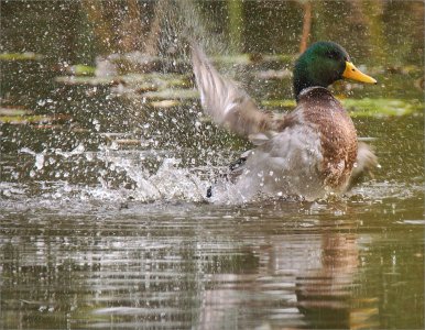 151024.01.JPG 151024.01.JPG