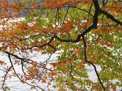 241025.03.JPG 241025.03.JPG