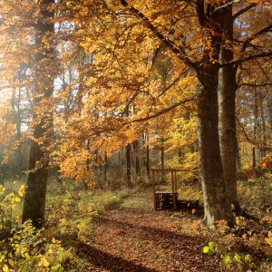 151026-FS10.jpg 151026-FS10.jpg