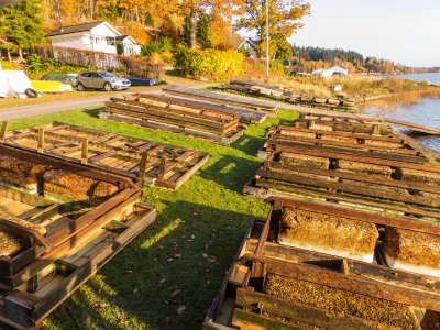 2015-10-26.jpg 2015-10-26.jpg