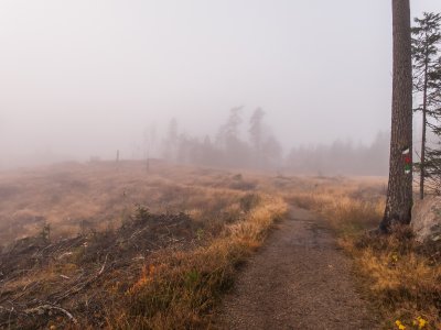 2015-10-27.jpg 2015-10-27.jpg