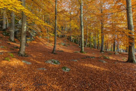 2015-10-28.jpg 2015-10-28.jpg