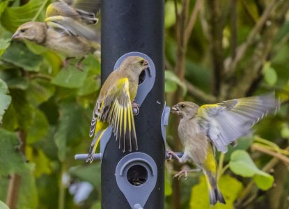 2015-10-30.jpg 2015-10-30.jpg