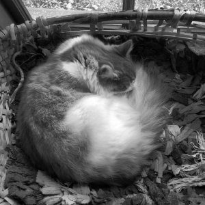 151031-FS10.jpg 151031-FS10.jpg