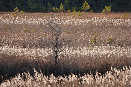 241102.02.JPG 241102.02.JPG