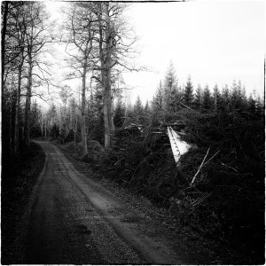 241103-Fs-1år.jpg 241103-Fs-1år.jpg