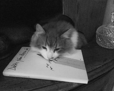 151104-FS10.jpg 151104-FS10.jpg