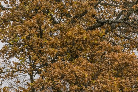 2015-11-04.jpg 2015-11-04.jpg