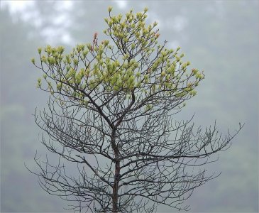 241108.05.JPG 241108.05.JPG