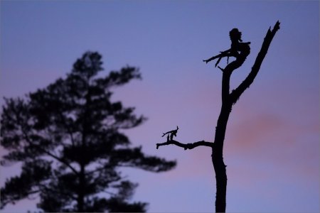 241114.03.JPG 241114.03.JPG