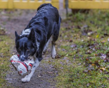 2015-11-15.jpg 2015-11-15.jpg