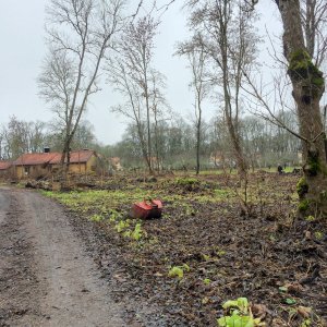 151116-FS10.jpg 151116-FS10.jpg