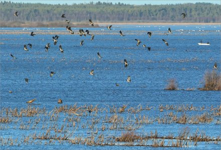 241117.03.JPG 241117.03.JPG