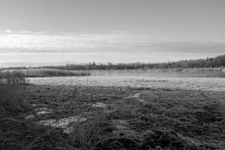 241119-Fs-1år.jpg 241119-Fs-1år.jpg