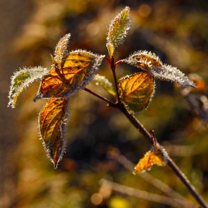 _MG_0682.jpg _MG_0682.jpg