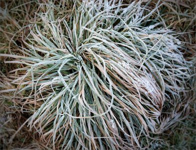 151121.01.JPG 151121.01.JPG