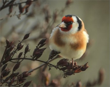 241121.01.JPG 241121.01.JPG