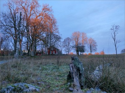 151122.01.JPG 151122.01.JPG