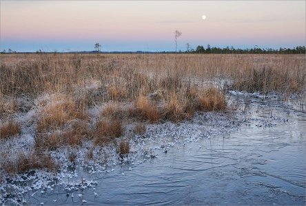 151123.01.JPG 151123.01.JPG