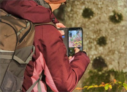 Fs BildBlirTill 251123.JPG