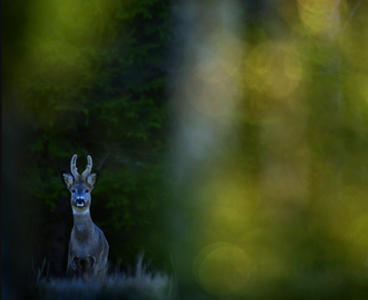 Screenshot 2025-11-23 153447.png