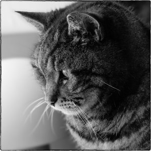 241124-Fs-1år.jpg 241124-Fs-1år.jpg