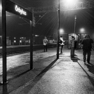 151126-FS10.jpg 151126-FS10.jpg