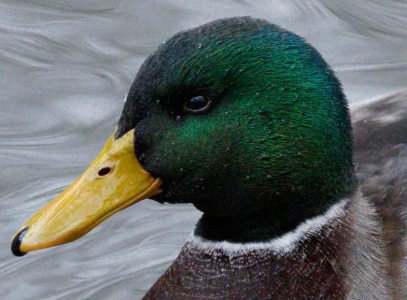 Skärmbild från 2025-11-26 10-41-17.png