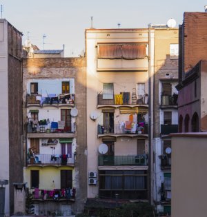 2015-11-29.jpg 2015-11-29.jpg