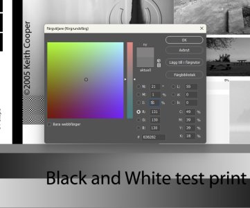 Färgväljare grått.jpg