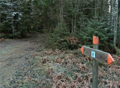 241204.01.JPG 241204.01.JPG