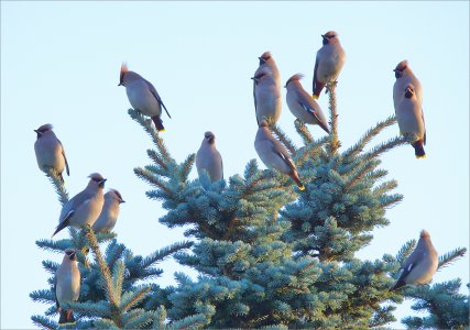 151207.02.jpg 151207.02.jpg