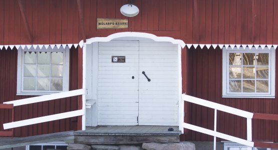 247A5775 D.jpg 247A5775 D.jpg