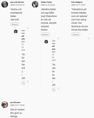 1765465382416.png 1765465382416.png